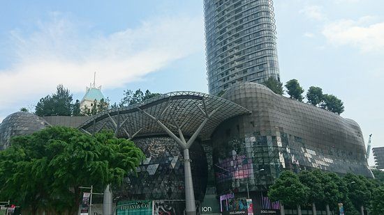 ION Orchard